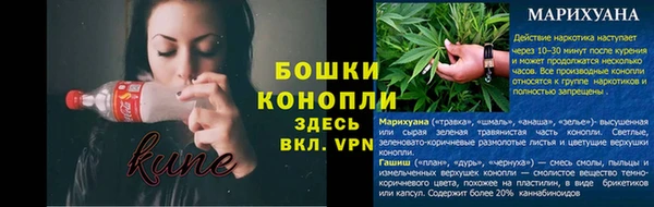 прущие грибы Бугульма