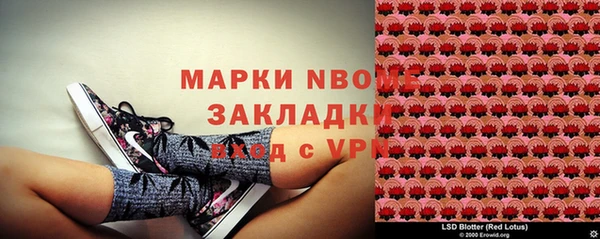 прущие грибы Бугульма