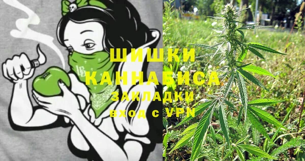 кокс Бородино