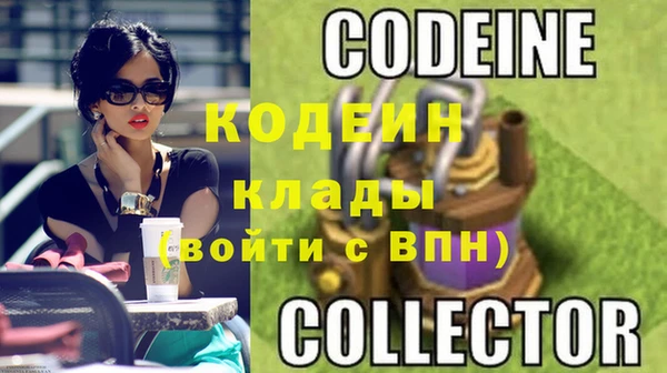 прущие грибы Бугульма