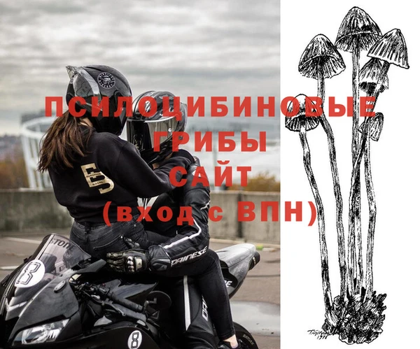 прущие грибы Бугульма