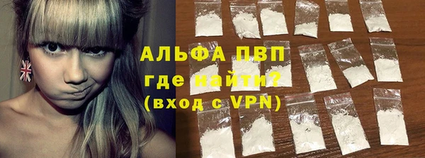 прущие грибы Бугульма