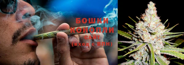 прущие грибы Бугульма