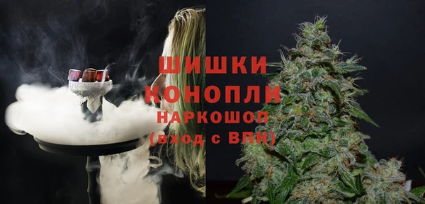 прущие грибы Бугульма