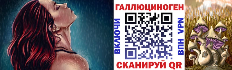 Галлюциногенные грибы прущие грибы  Чита 