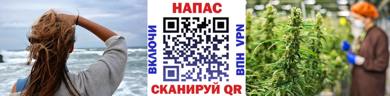 закладка  Чита  Конопля MAZAR 